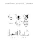 ENHANCING PROGENITOR CELL NUMBERS diagram and image