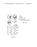 ENHANCING PROGENITOR CELL NUMBERS diagram and image