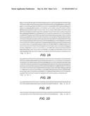 BORDETELLA OUTER-MEMBRANE PROTEIN ANTIGENS AND METHODS OF MAKING AND USING     THE SAME diagram and image