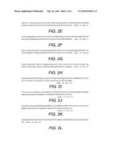 BORDETELLA OUTER-MEMBRANE PROTEIN ANTIGENS AND METHODS OF MAKING AND USING     THE SAME diagram and image