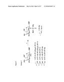 Synthetic Antigen Constructs Against Campylobacter Jejuni diagram and image