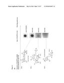 Synthetic Antigen Constructs Against Campylobacter Jejuni diagram and image