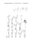 Synthetic Antigen Constructs Against Campylobacter Jejuni diagram and image