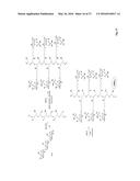 Synthetic Antigen Constructs Against Campylobacter Jejuni diagram and image