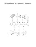 Synthetic Antigen Constructs Against Campylobacter Jejuni diagram and image