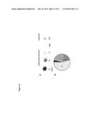 Synthetic Antigen Constructs Against Campylobacter Jejuni diagram and image