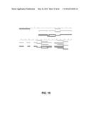 JOHNSON GRASS ALLERGENIC POLLEN PROTEINS, ENCODING NUCLEIC ACIDS AND     METHODS OF USE diagram and image