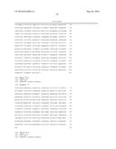 JOHNSON GRASS ALLERGENIC POLLEN PROTEINS, ENCODING NUCLEIC ACIDS AND     METHODS OF USE diagram and image