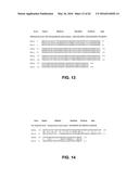 JOHNSON GRASS ALLERGENIC POLLEN PROTEINS, ENCODING NUCLEIC ACIDS AND     METHODS OF USE diagram and image