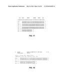 JOHNSON GRASS ALLERGENIC POLLEN PROTEINS, ENCODING NUCLEIC ACIDS AND     METHODS OF USE diagram and image