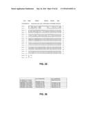 JOHNSON GRASS ALLERGENIC POLLEN PROTEINS, ENCODING NUCLEIC ACIDS AND     METHODS OF USE diagram and image