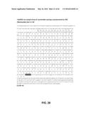 JOHNSON GRASS ALLERGENIC POLLEN PROTEINS, ENCODING NUCLEIC ACIDS AND     METHODS OF USE diagram and image