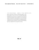 JOHNSON GRASS ALLERGENIC POLLEN PROTEINS, ENCODING NUCLEIC ACIDS AND     METHODS OF USE diagram and image