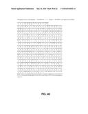 JOHNSON GRASS ALLERGENIC POLLEN PROTEINS, ENCODING NUCLEIC ACIDS AND     METHODS OF USE diagram and image