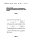 JOHNSON GRASS ALLERGENIC POLLEN PROTEINS, ENCODING NUCLEIC ACIDS AND     METHODS OF USE diagram and image