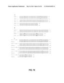 JOHNSON GRASS ALLERGENIC POLLEN PROTEINS, ENCODING NUCLEIC ACIDS AND     METHODS OF USE diagram and image