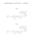 PRODRUGS ACTIVATED BY CASPASE diagram and image