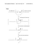 PURIFICATION DEVICE, AND PURIFICATION METHOD diagram and image