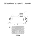 LEAF FILTER SYSTEM AND REPLACEABLE FILTER LEAF APPARATUS diagram and image