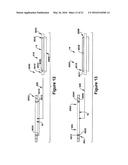 LEAF FILTER SYSTEM AND REPLACEABLE FILTER LEAF APPARATUS diagram and image