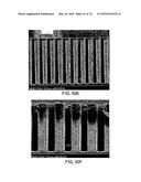 Devices And Method For Enrichment And Alteration Of Cells And Other     Particles diagram and image