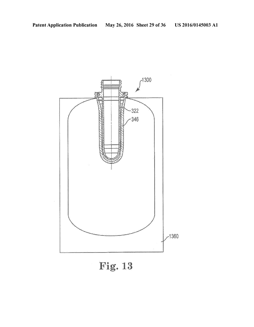 NESTED BLOW MOLDED LINER AND OVERPACK AND METHODS OF MAKING SAME - diagram, schematic, and image 30