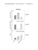 Synergistic Bacterial Consortia for Mobilizing Soil Phosphorus diagram and image