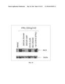 NATURAL PRODUCT ANALOGS INCLUDING AN ANTI-INFLAMMATORY CYANOENONE     PHARMACORE AND METHODS OF USE diagram and image