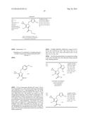 HETEROARYL SUBSTITUTED PYRAZOLES diagram and image