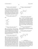 TETRAHYDROISOQUINOLINES CONTAINING SUBSTITUTED AZOLES AS FACTOR XIA     INHIBITORS diagram and image