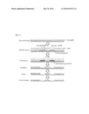 REAGENT FOR ENHANCING GENERATION OF CHEMICAL SPECIES diagram and image