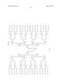 Dendrimer Scaffolds for Pharmaceutical Use diagram and image