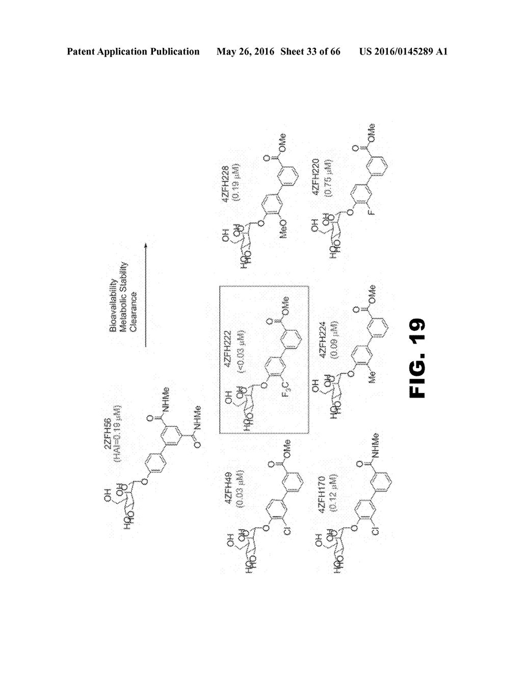 COMPOUNDS AND METHODS FOR TREATING BACTERIAL INFECTIONS - diagram, schematic, and image 34