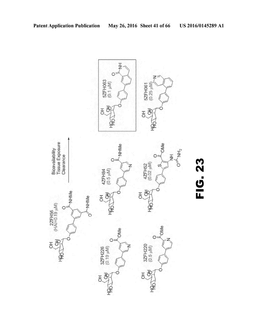 COMPOUNDS AND METHODS FOR TREATING BACTERIAL INFECTIONS - diagram, schematic, and image 42