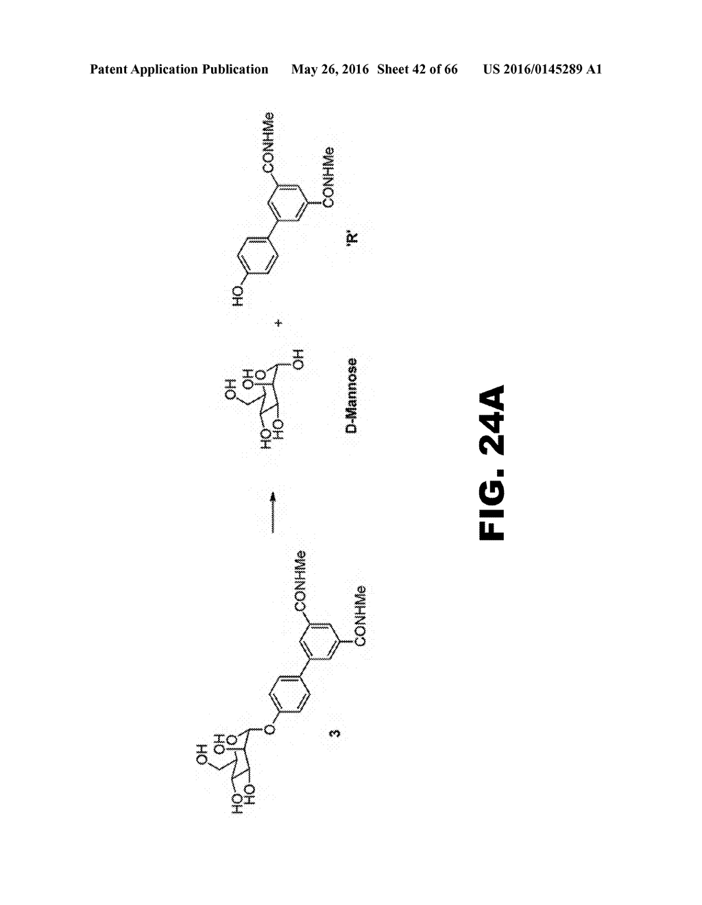 COMPOUNDS AND METHODS FOR TREATING BACTERIAL INFECTIONS - diagram, schematic, and image 43