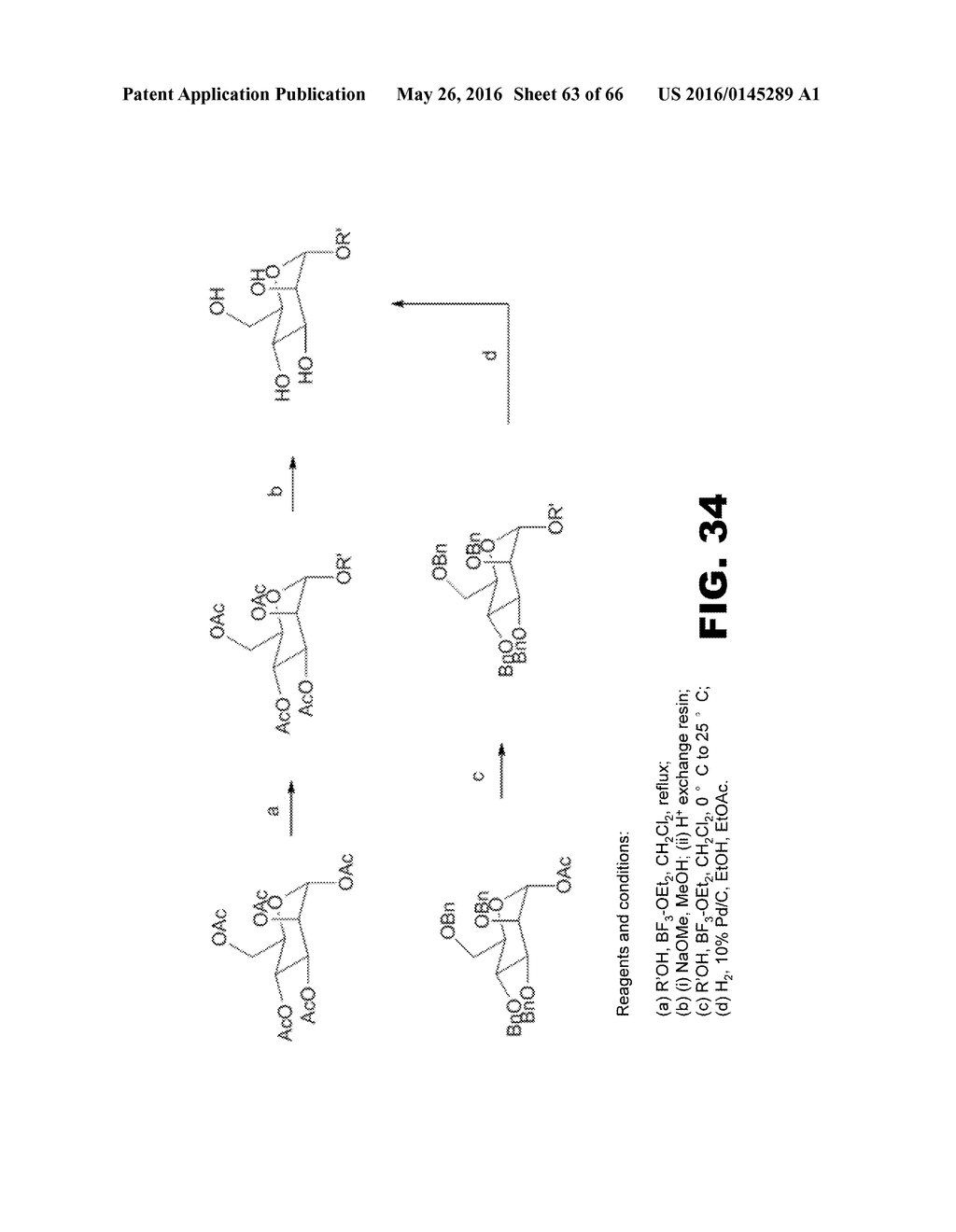 COMPOUNDS AND METHODS FOR TREATING BACTERIAL INFECTIONS - diagram, schematic, and image 64