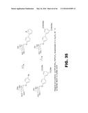 COMPOUNDS AND METHODS FOR TREATING BACTERIAL INFECTIONS diagram and image