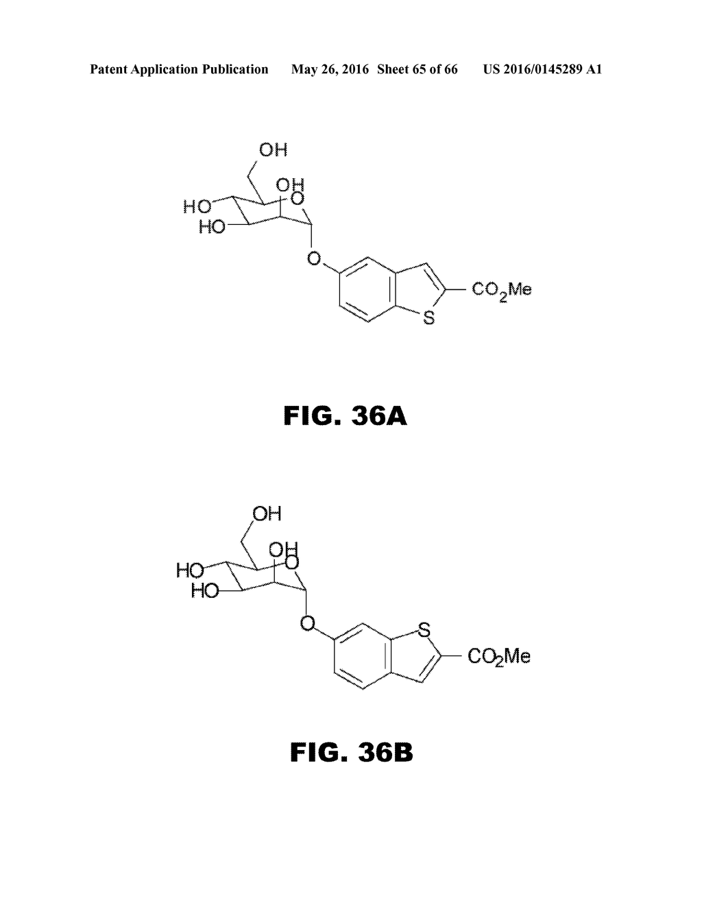 COMPOUNDS AND METHODS FOR TREATING BACTERIAL INFECTIONS - diagram, schematic, and image 66