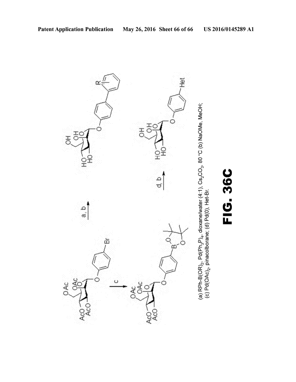 COMPOUNDS AND METHODS FOR TREATING BACTERIAL INFECTIONS - diagram, schematic, and image 67