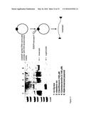 CYSTOBACTAMIDES diagram and image