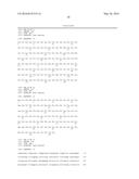 HUMAN CYTOMEGALOVIRUS NEUTRALIZING ANTIBODIES AND USE THEREOF diagram and image