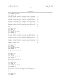 HUMAN CYTOMEGALOVIRUS NEUTRALIZING ANTIBODIES AND USE THEREOF diagram and image