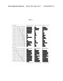 HUMAN ANTIBODIES BINDING TO RSV G PROTEINS diagram and image