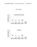 HUMAN ANTIBODIES BINDING TO RSV G PROTEINS diagram and image