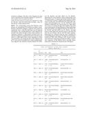 HUMAN ANTIBODIES BINDING TO RSV G PROTEINS diagram and image