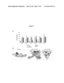 ANTIBODIES AGAINST CHIKUNGUNYA VIRUS AND USES THEREOF diagram and image