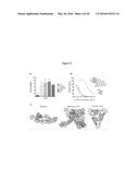 ANTIBODIES AGAINST CHIKUNGUNYA VIRUS AND USES THEREOF diagram and image