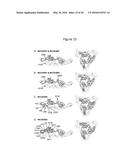 ANTIBODIES AGAINST CHIKUNGUNYA VIRUS AND USES THEREOF diagram and image