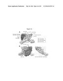 ANTIBODIES AGAINST CHIKUNGUNYA VIRUS AND USES THEREOF diagram and image