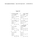 ANTIBODIES AGAINST CHIKUNGUNYA VIRUS AND USES THEREOF diagram and image